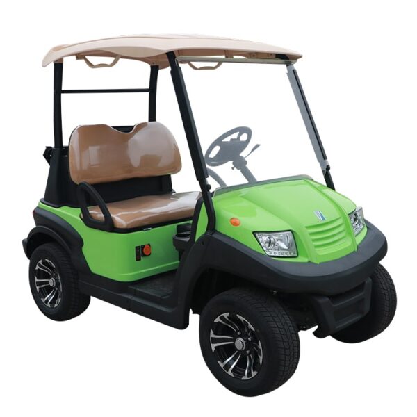 Xe điện sân Golf 2 chỗ CNT EG2